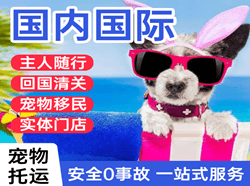 韶关丹霞机场快运国际宠物托运 【国